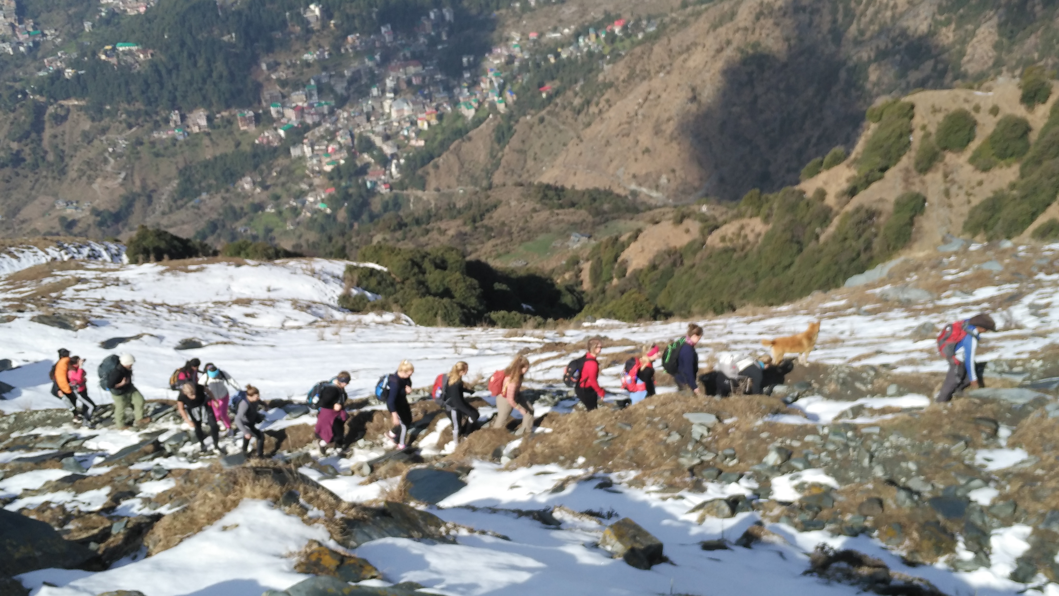 treks in himachal in december