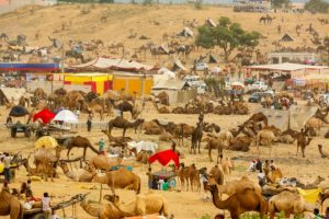 Pushkar Fair