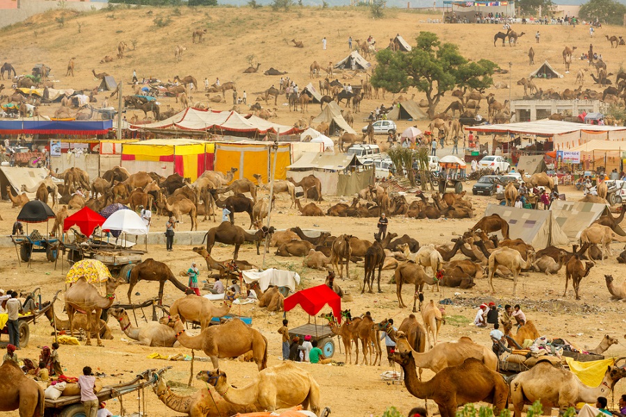 pushkar-fair.jpg?profile=RESIZE_710x