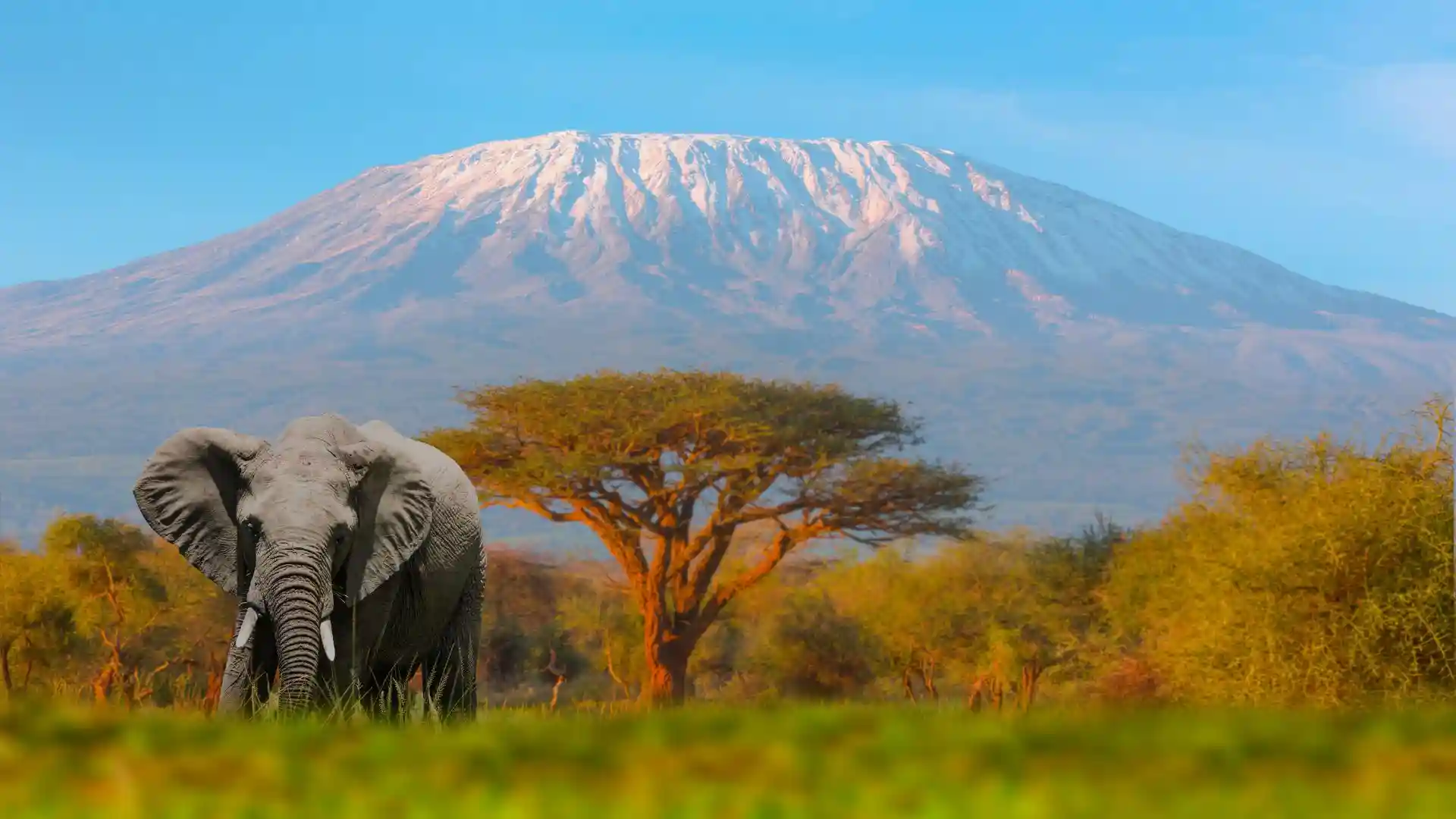 Climbing Kilimanjaro