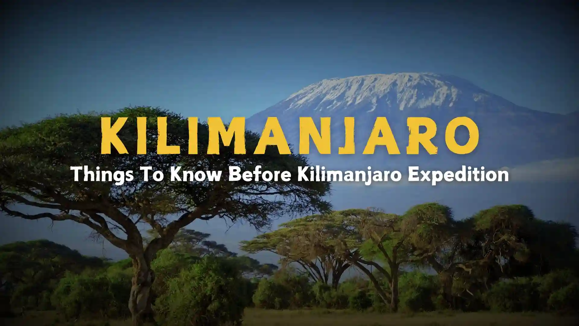 Climbing Kilimanjaro