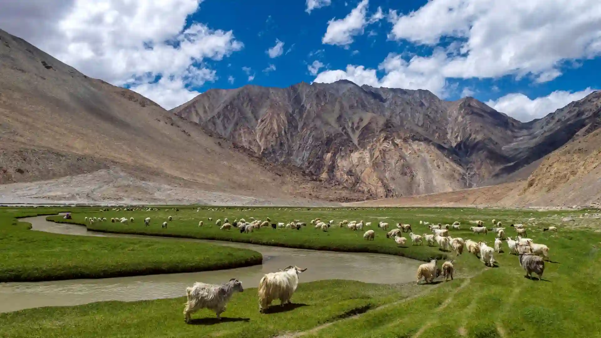 Places to visit in Ladakh