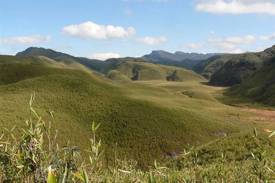 Dzukou Valley & Japfu Peak Trek, Nagaland