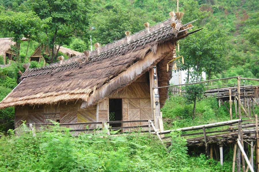 Dzukou Valley & Japfu Peak Trek, Nagaland