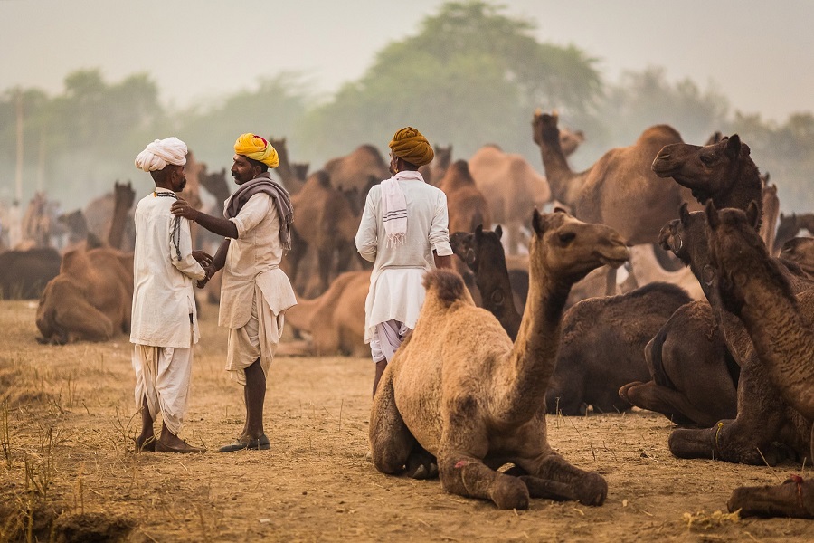 pushkar-fair2.jpg?profile=RESIZE_710x