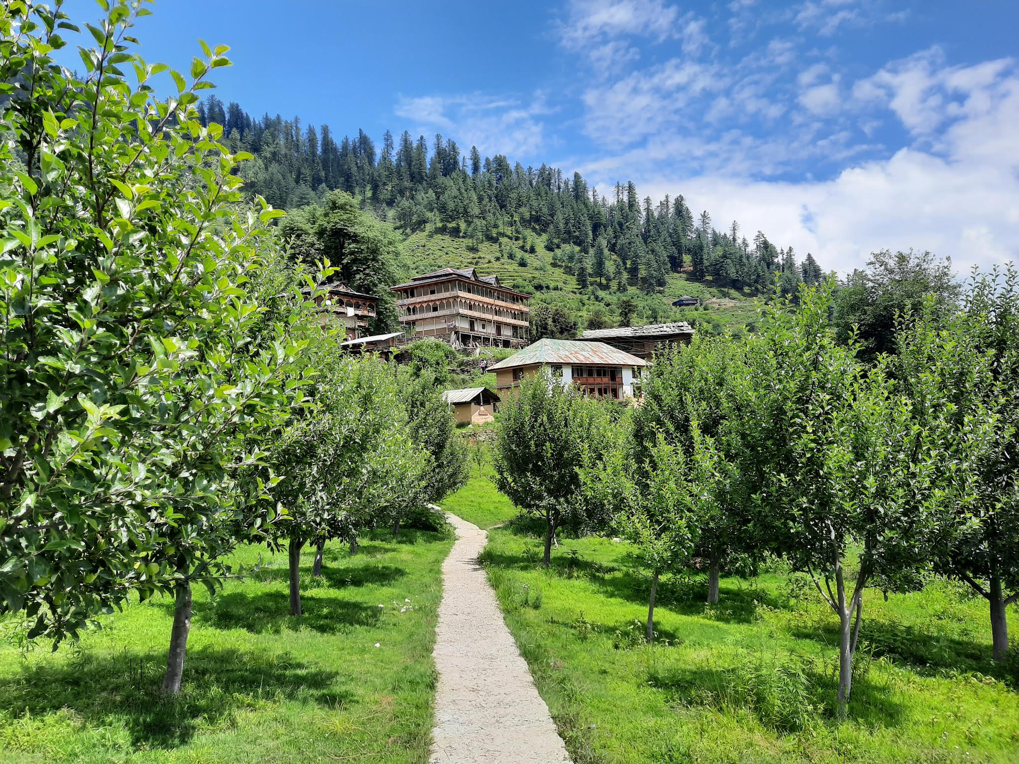 Tirthan Valley Tour