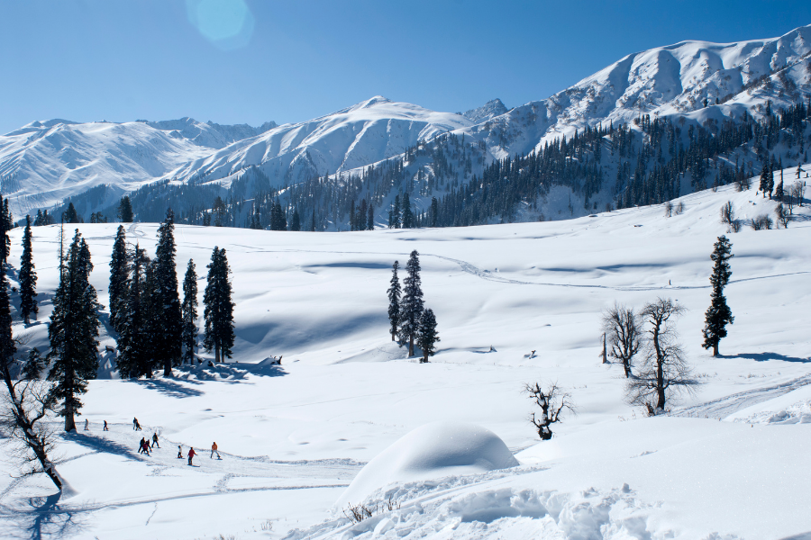 Kashmir Honeymoon Tour Packages