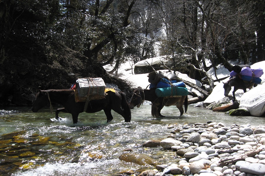 Mount Deo Tibba Expedition (6001 M)