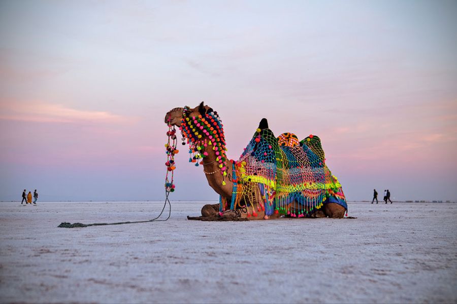 Village Tour of Kutch Package