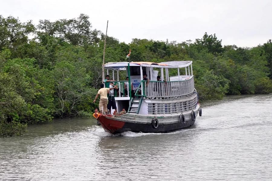 Mysterious Sunderbans Wildlife Tour