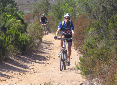 Activity Holidays