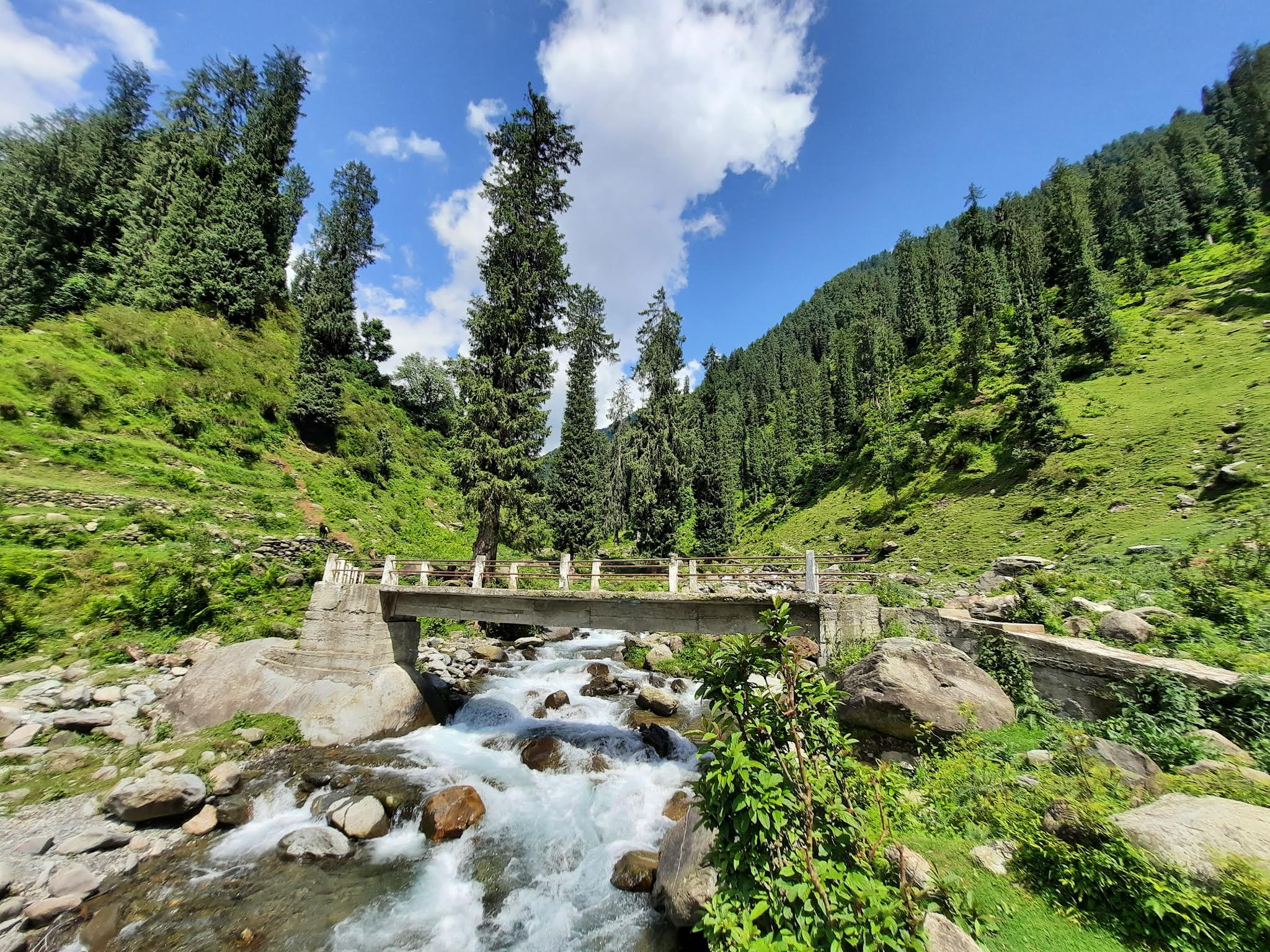 Barot Valley & Rewalsar Tour