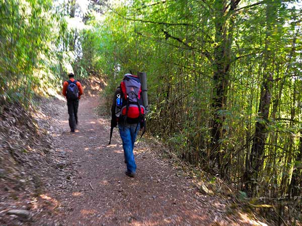 barsey sanctuary trek