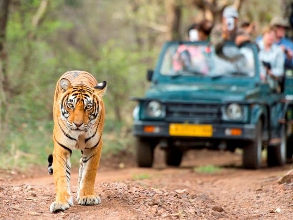 Jaipur Ranthambore Weekend Tour