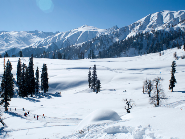 Kashmir Honeymoon Tour Packages