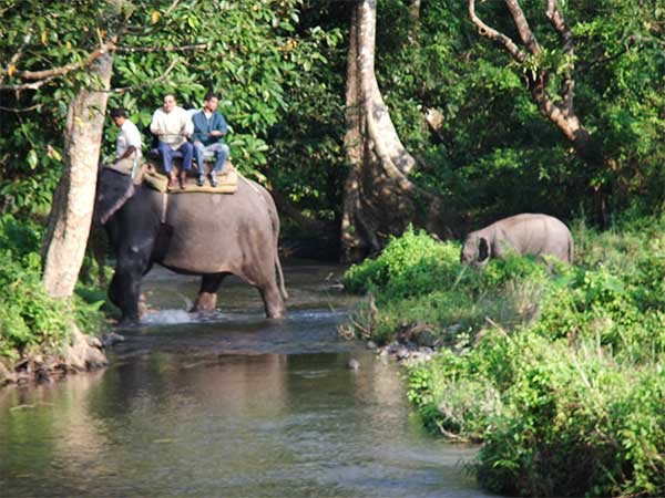 Travel to Jaldapara Wildlife Sanctuary